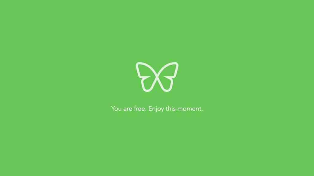 Freedom green screen enjoy this moment